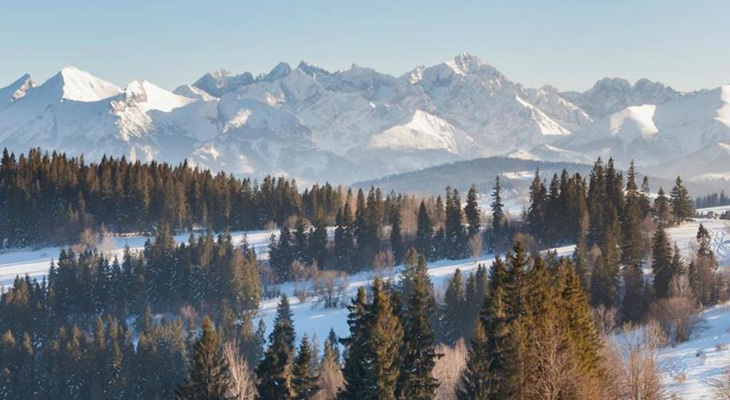 Malgosia Regionalna - 10 Minut Na Piechote Do Stoku Narciarskiego I Term Bania - Posilki Serwowane W Budynku Obok Białka Esterno foto